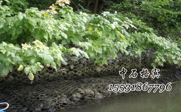 格賓石籠護岸